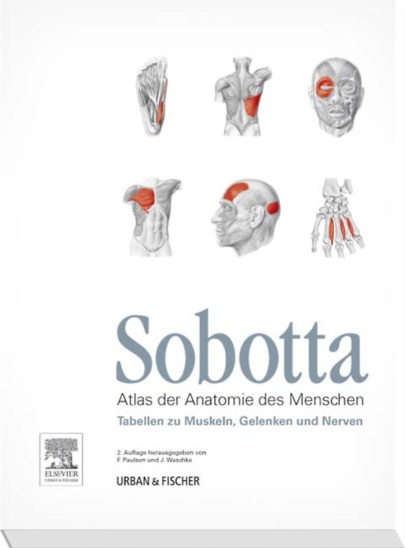 Sobotta Tabellen zu Muskeln, Gelenken und Nerven