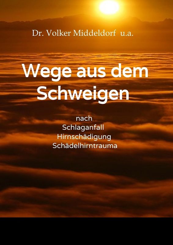 Wege aus dem Schweigen - nach Schlaganfall, Hirnschädigung, Schädelhirntrauma