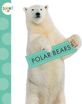 Polar Bears