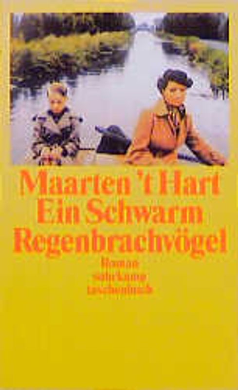 Ein Schwarm Regenbrachvögel