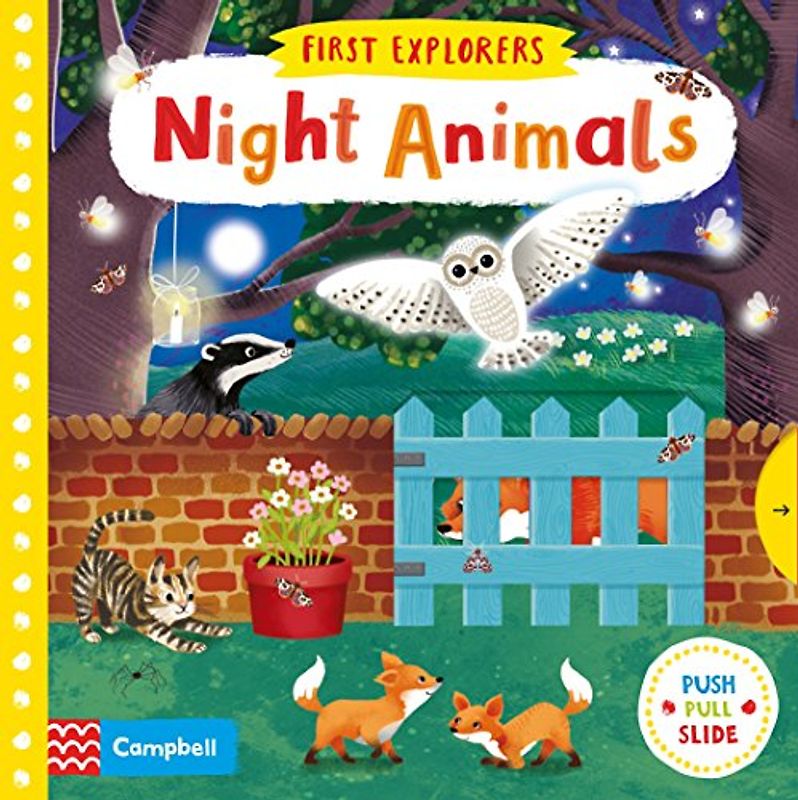 Night Animals (Campbell First Explorers, 1, Band 1)