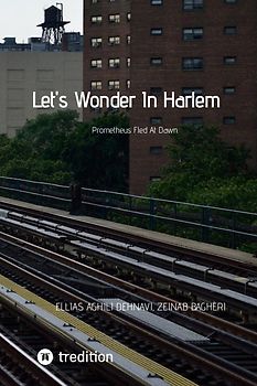 Let's Wonder In Harlem