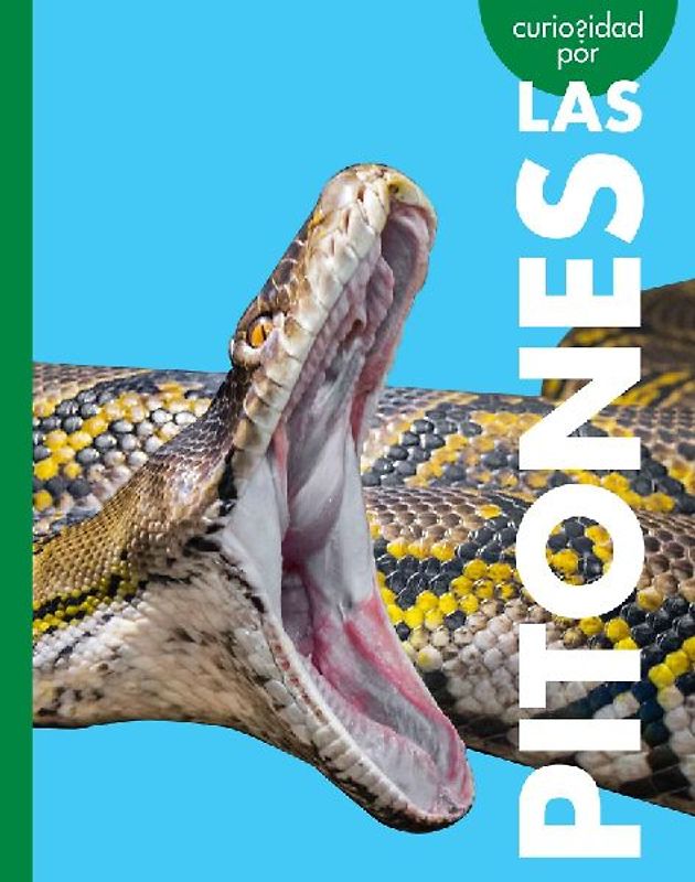 Curiosidad Por Las Pitones