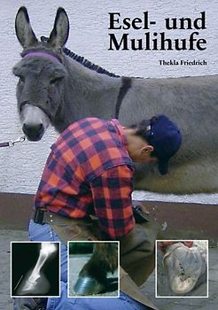 Esel- und Mulihufe