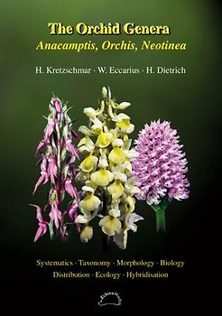The Orchid Genera Anacamptis, Orchis, Neotinea