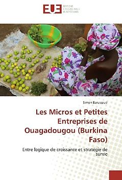Les Micros et Petites Entreprises de Ouagadougou (Burkina Faso)
