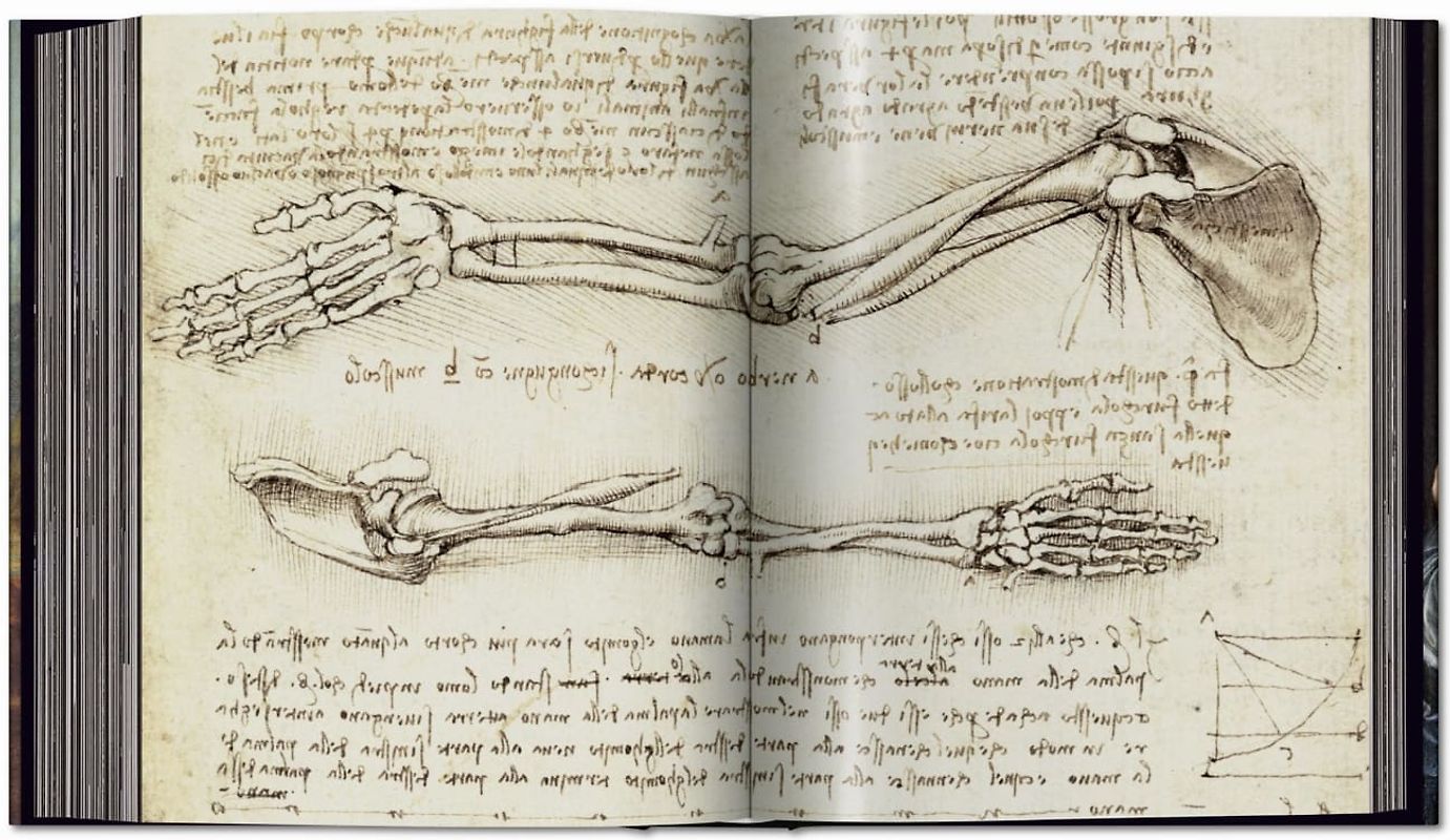 Léonard de Vinci. Tout l'œuvre peint et graphique