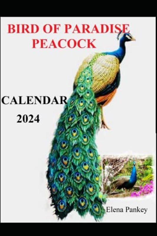 Bird of Paradise, Peacock. Calendar 2024