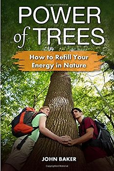 Power of Trees: How to Refill Your Energy in Nature