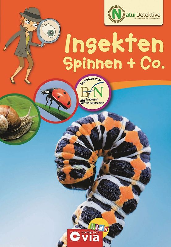 Insekten, Spinnen & Co.