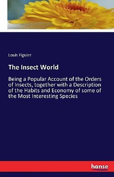 The Insect World