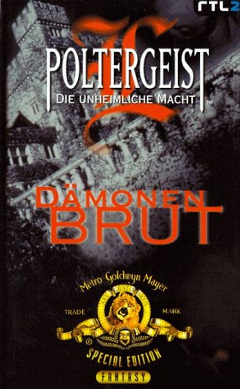 Poltergeist - Das Vermächtnis. Dämonenbrut