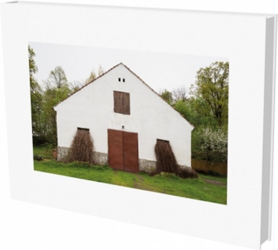 Pia Pollmanns: Die Wege der Elisa Kosch