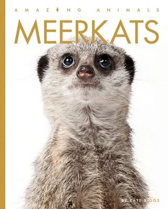 Meerkats