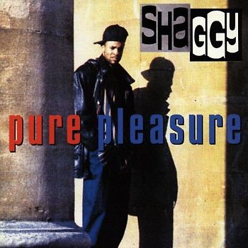 Shaggy - Pure Pleasure