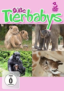 Süße Tierbabys [3 DVDs] DVD