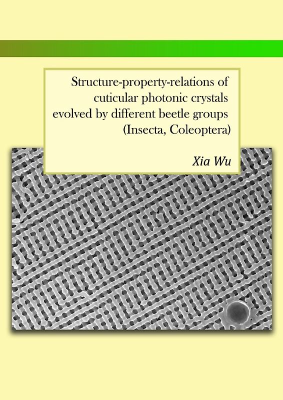 Structure-property-relations of cuticular photonic crystals evolved by different beetle groups (Insecta, Coleoptera)