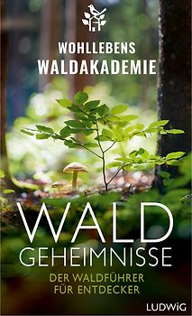 Waldgeheimnisse