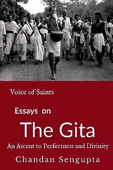 Essays on Gita