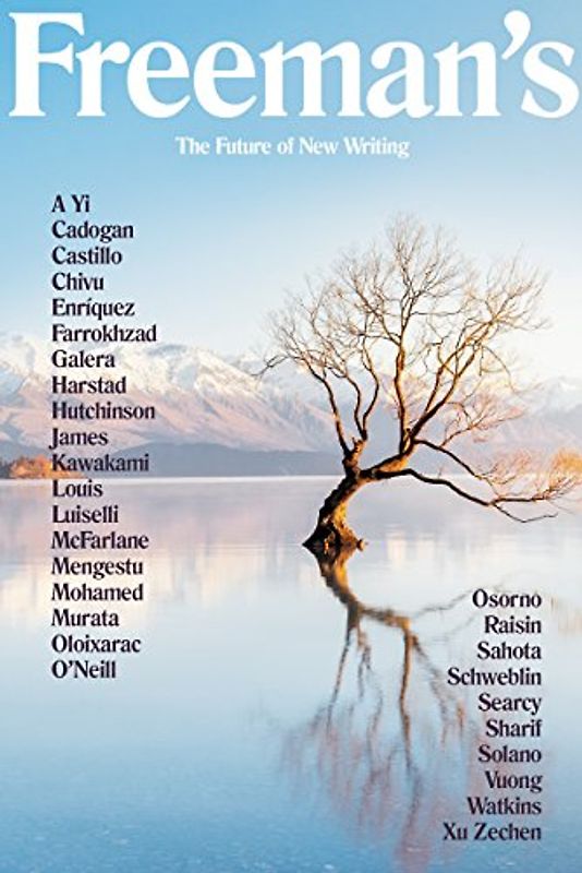 Freeman's: The Future of New Writing (Freeman's, 4, Band 4)