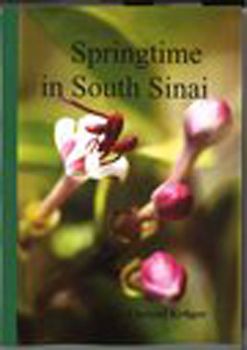 Springtime in South Sinai -Englische Ausgabe
