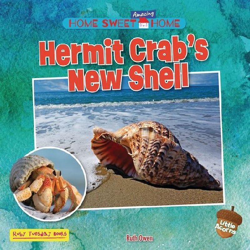 Hermit Crab's New Shell