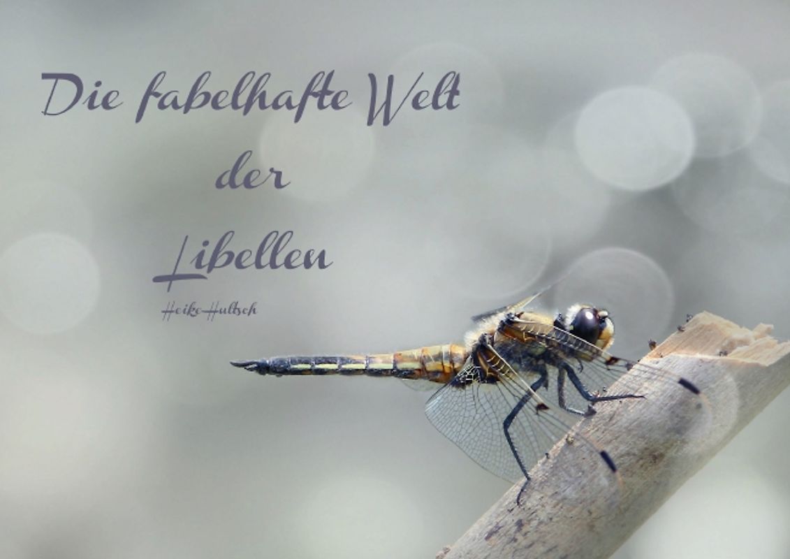 Die fabelhafte Welt der Libellen (Posterbuch DIN A4 quer)