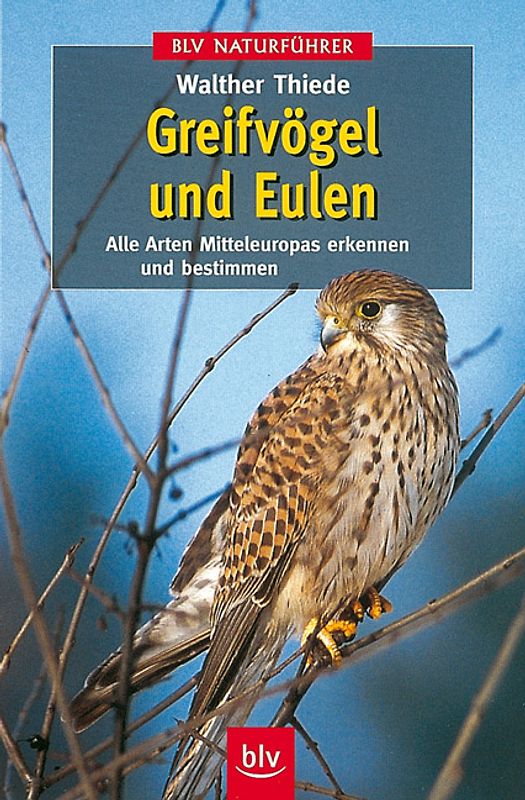 Greifvögel und Eulen