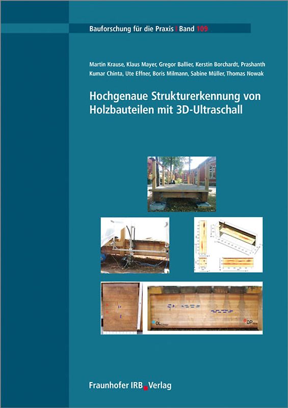 Hochgenaue Strukturerkennung von Holzbauteilen mit 3D-Ultraschall.