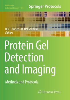 Protein Gel Detection and Imaging