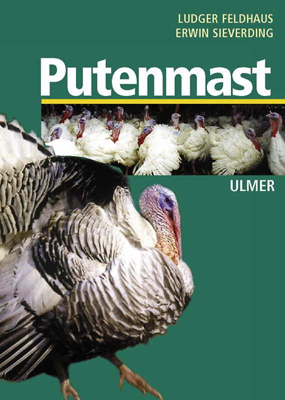 Putenmast