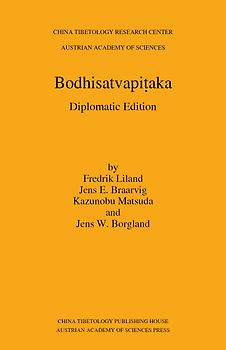 Bodhisatvapiṭaka