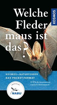 Welche Fledermaus ist das?
