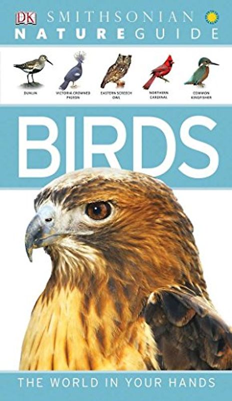 Nature Guide: Birds: The World in Your Hands (DK Nature Guide)