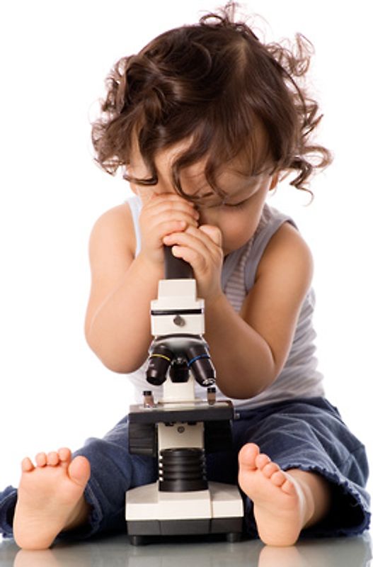 Musterhandbuch Technische Dokumentation nach DIN EN 62079