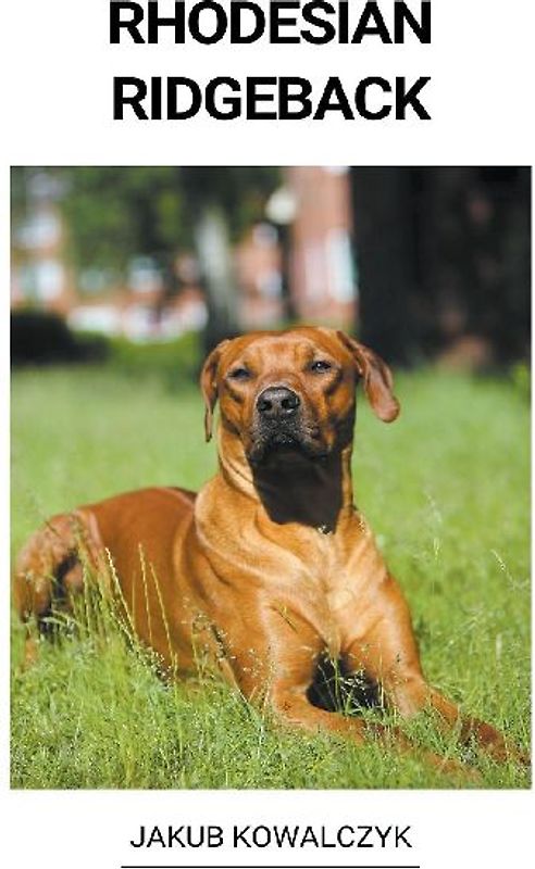 Rhodesian Ridgeback