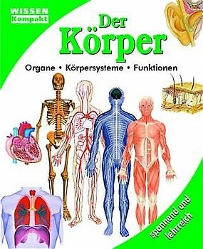 Der Körper