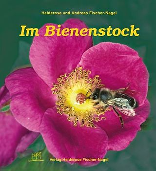Im Bienenstock