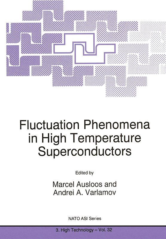 Fluctuation Phenomena in High Temperature Superconductors