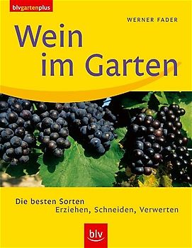 Wein im Garten
