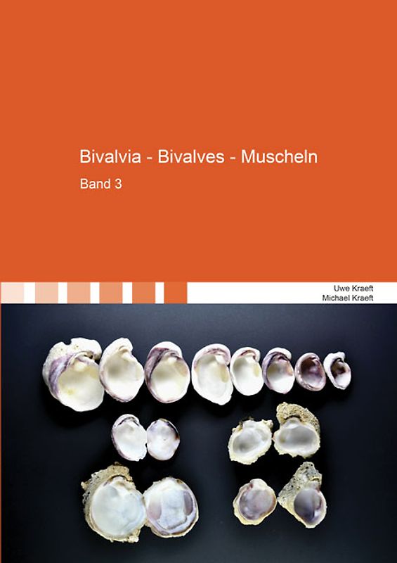 Bivalvia - Bivalves - Muscheln