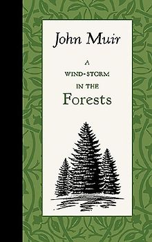 A Wind-Storm in the Forests