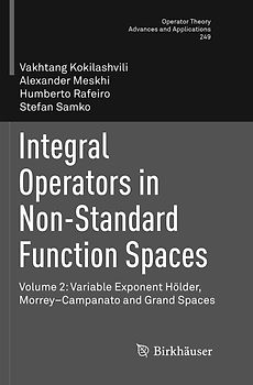 Integral Operators in Non-Standard Function Spaces