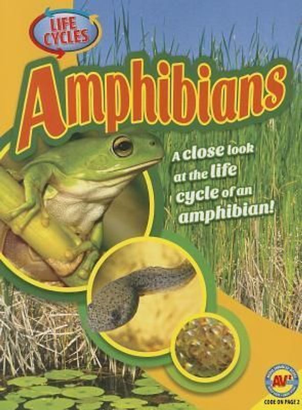 Amphibians