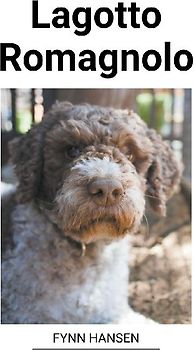 Lagotto Romagnolo