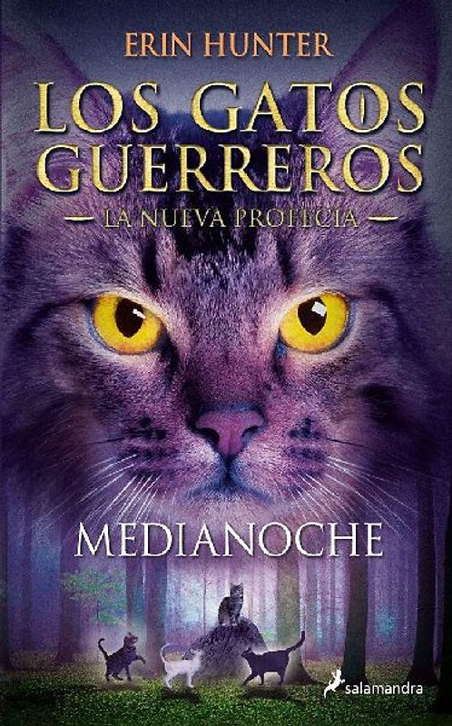 Medianoche / Midnight