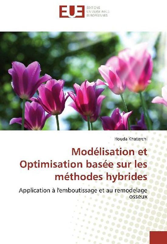 Modélisation et Optimisation basée sur les méthodes hybrides