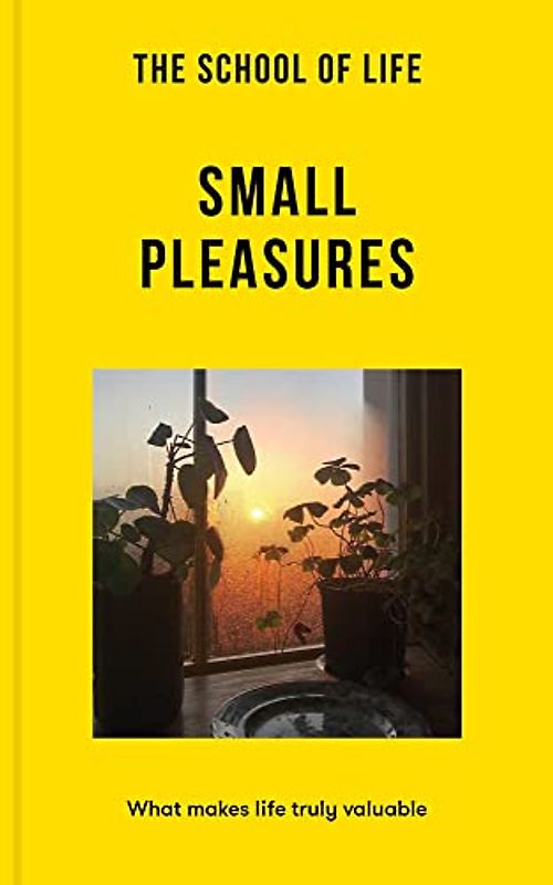 Small Pleasures: What Makes Life Truly Valuable (Lessons for Life)