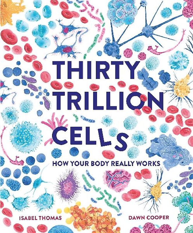 Thirty Trillion Cells