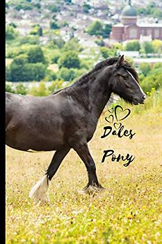 Dales Pony Notebook: Composition Notebook 6x9" Blank Lined Journal